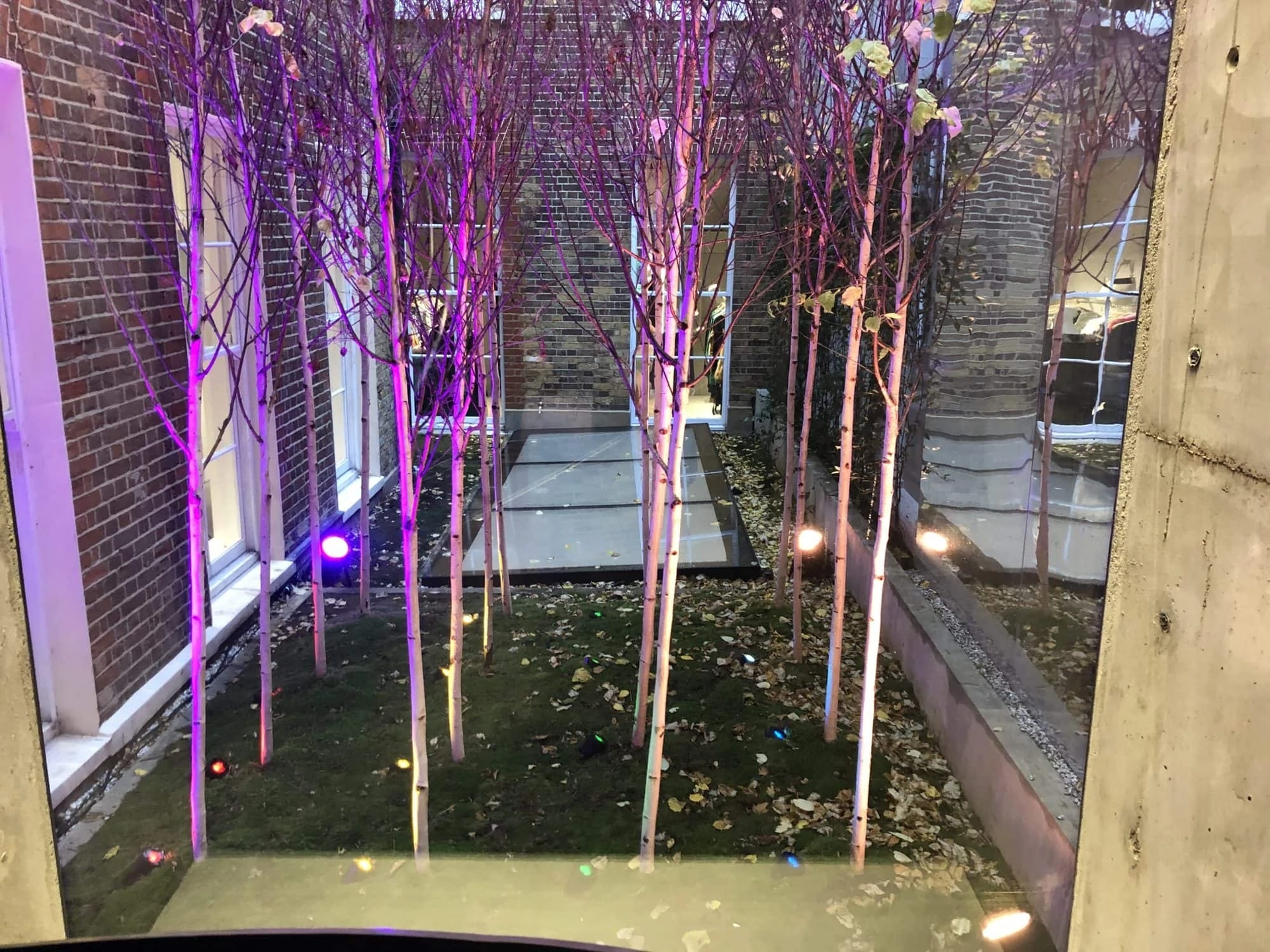 Illuminated trees at stella mccartney&#039;s flagship store