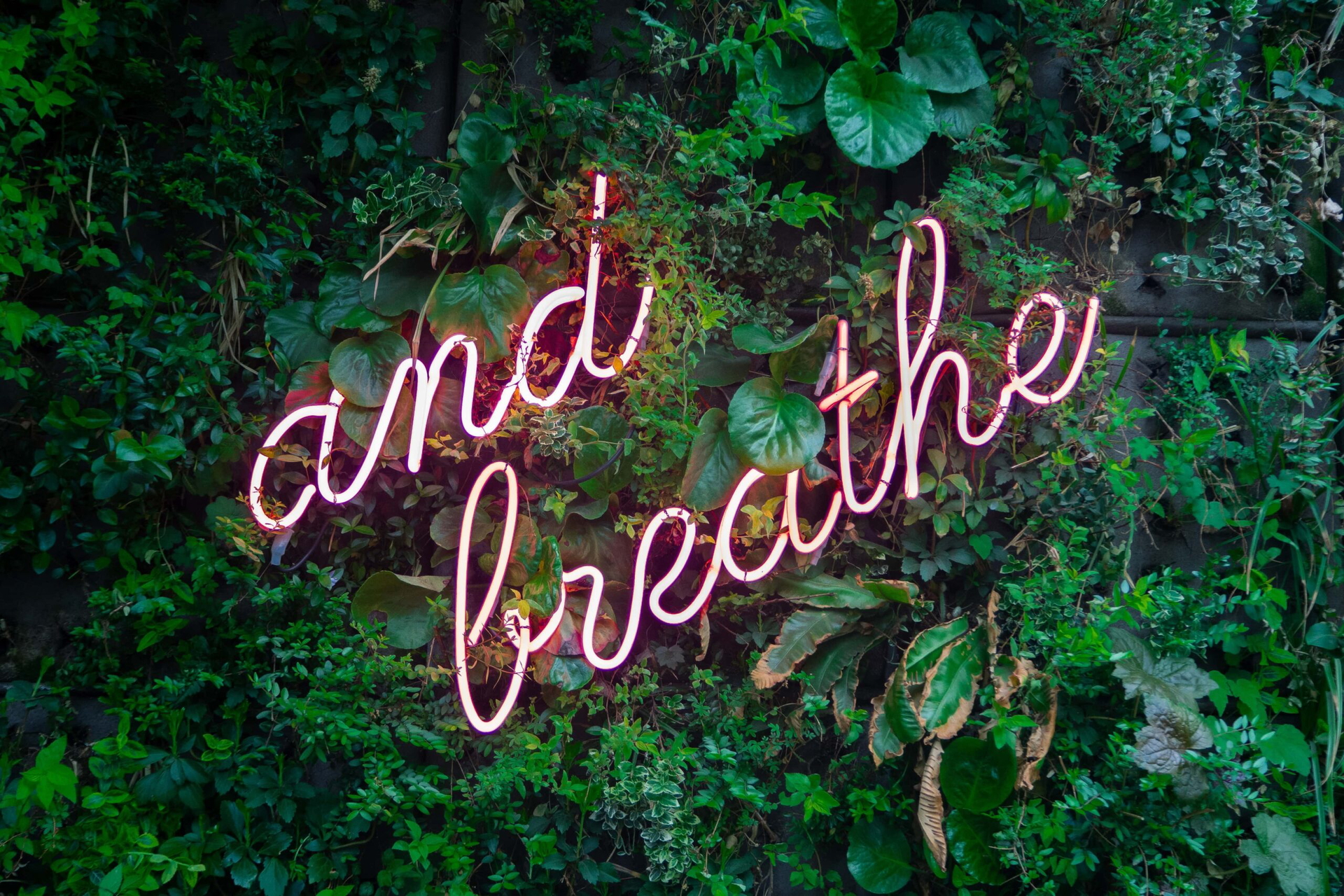 What Is and Is Not Biophilic Design