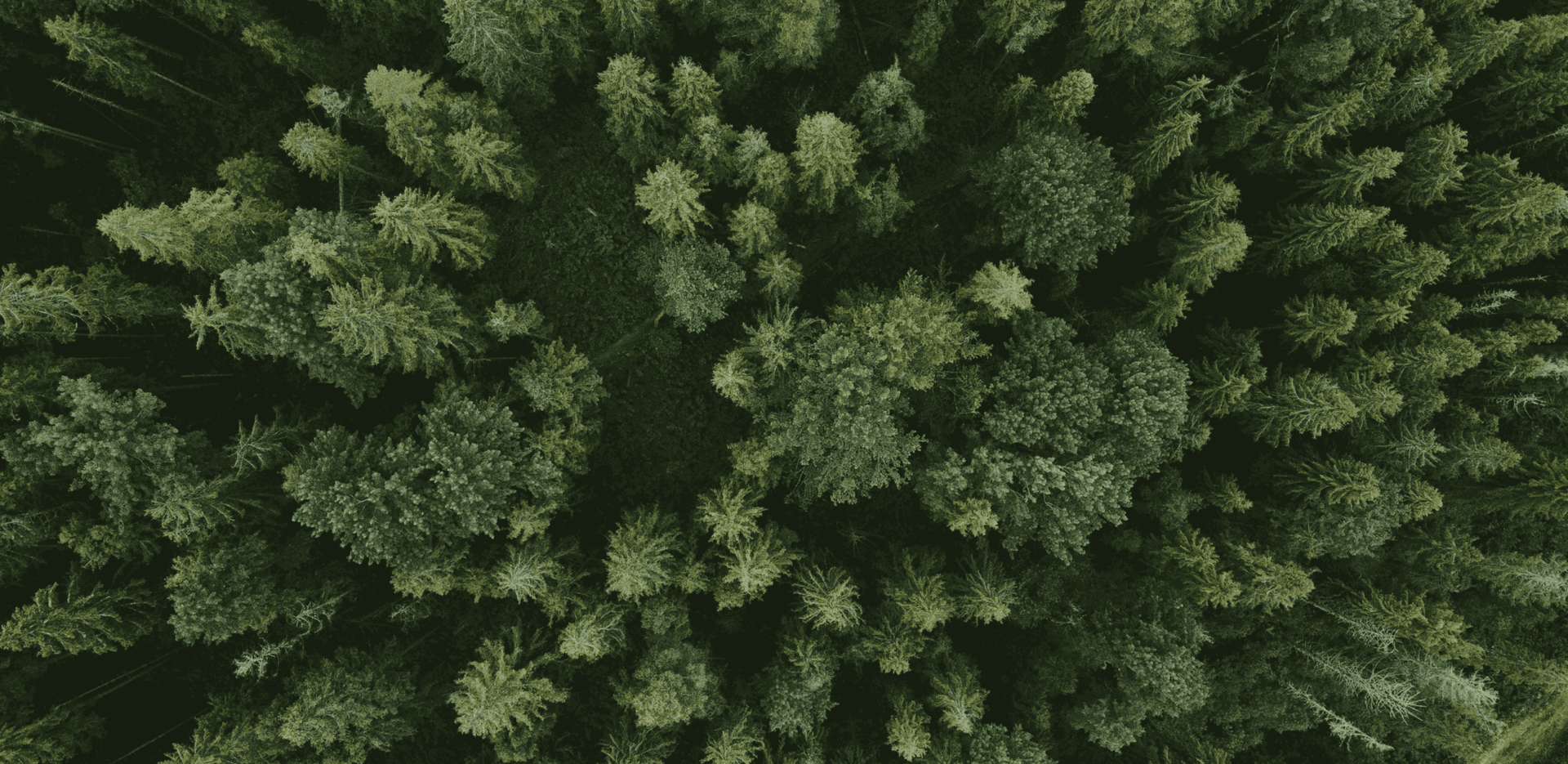 FSC®
