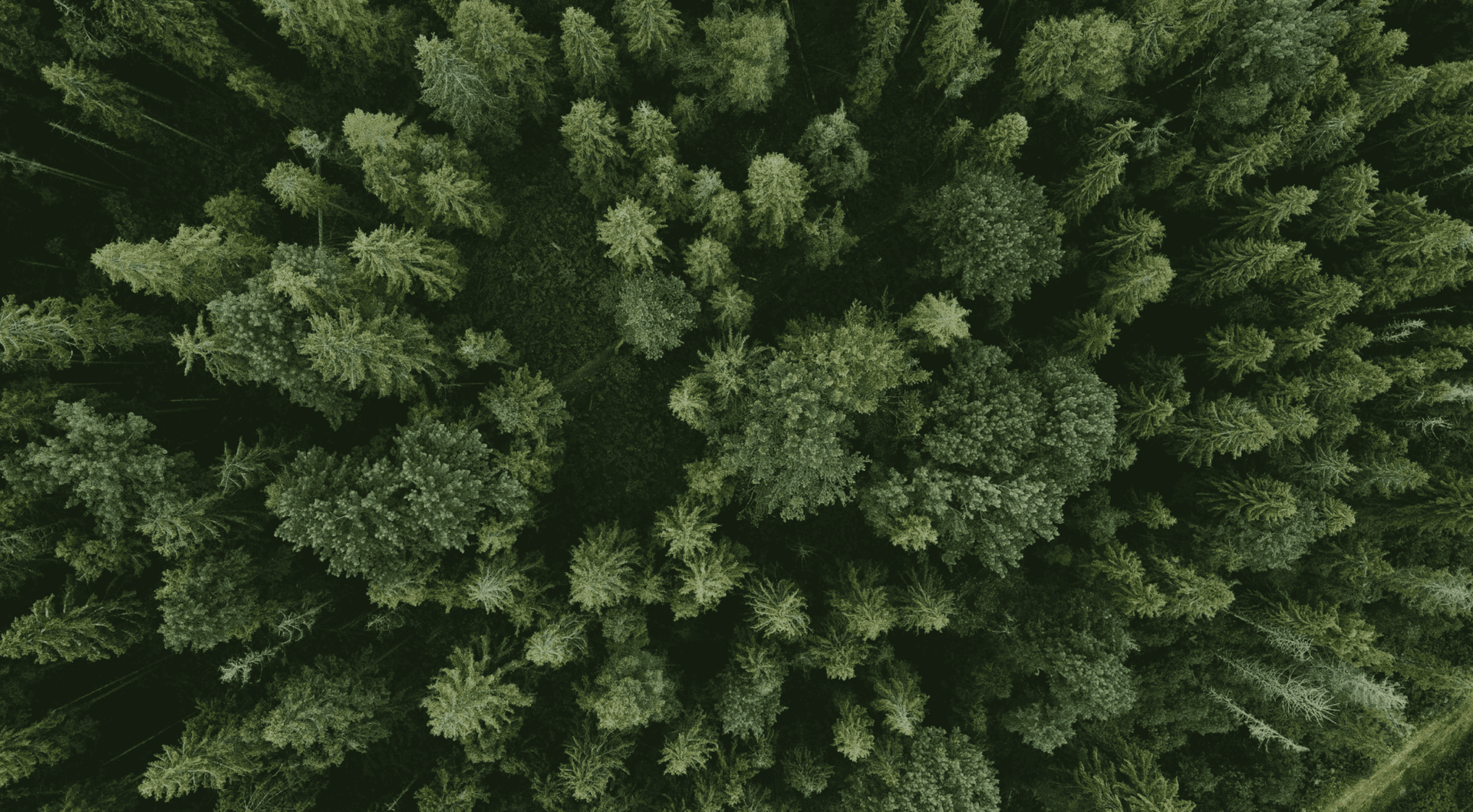 FSC®