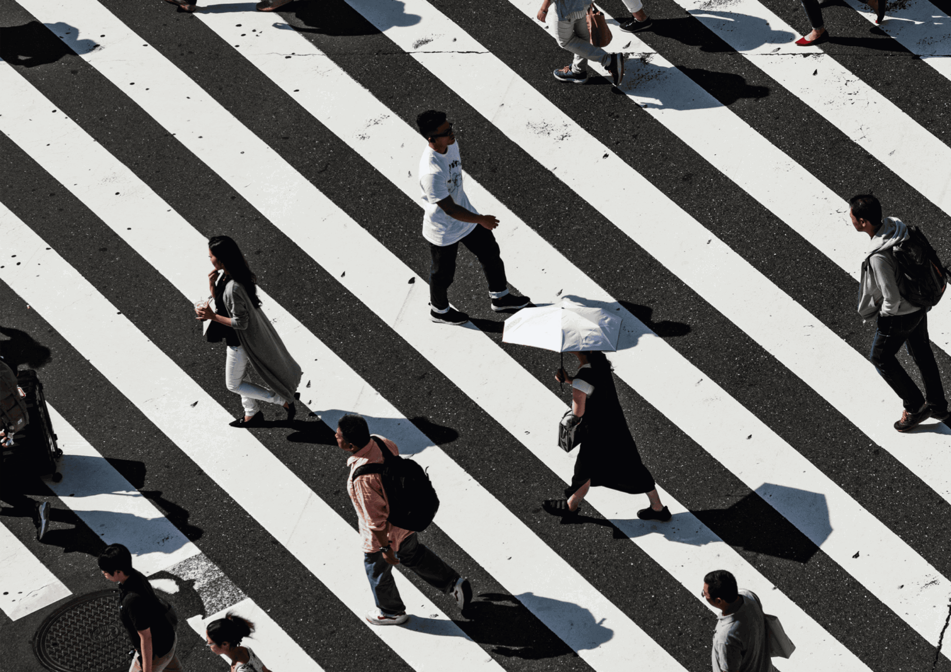 Subvert/Conform